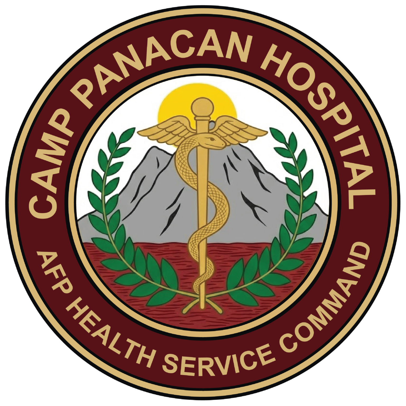 Home - Medical Center, AFP